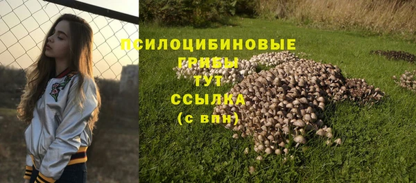 бошки Зерноград