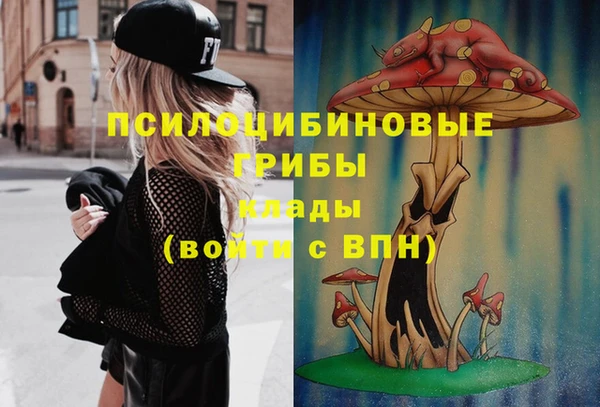 ECSTASY Зеленокумск
